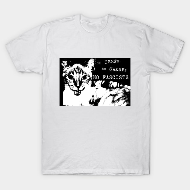 No TERFs, No SWERFs, No Fascists T-Shirt by DoomedSocietyPunx